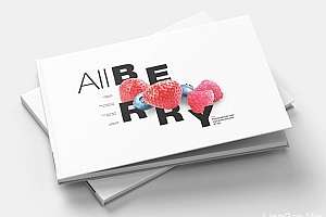 ALLBERRY有机浆果品牌画册设计作品