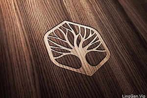 原创:互联网保健品VI形象设计