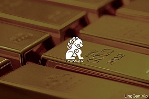 利得金融logo设计及视觉形象