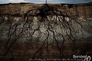 根深蒂固-创意平面广告设计-设计欣赏