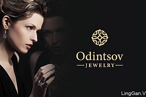 国外Odintsov珠宝品牌VI设计基础部分设计展示(一)
