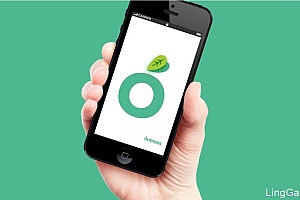 Outness(户外社交APP)品牌视觉VI形象