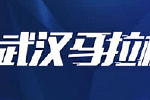2016年武汉马拉松LOGO征集揭晓
