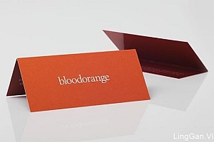 一套超长型的系列经典创意名片设计