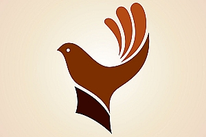 飞鸟logo设计合集欣赏-UI设计