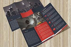 Mamunur Rashid 单页海报设计(5)