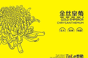 菊花茶包装设计
