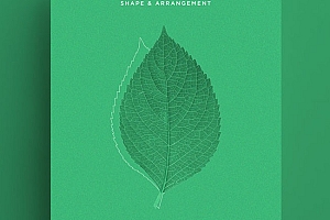 国外Leaf Morphology系列树叶海报设计