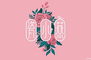 瓷小燕燕窝品牌设计 鲜炖燕窝包装设计 燕窝包装设计