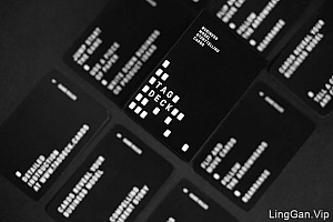 国外TAG DECK系列商务名片模版设计作品