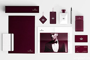 国外LA VIRDO网上零售商店品牌形象vi设计