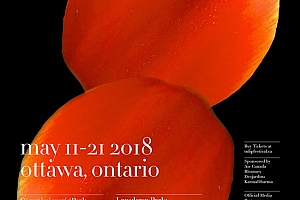 2018加拿大郁金香花节海报设计