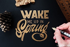 俄罗斯Mike Levchenko手绘字体设计