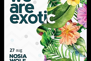 漂亮的“异国风情”主题海报设计模版作品