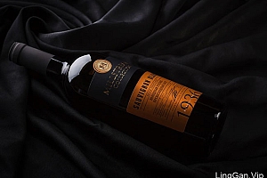 Premium葡萄酒瓶贴设计