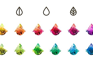 国外Aura Herbals健康天然食材品牌包装设计