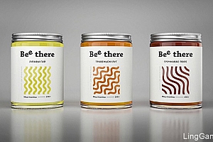 国外简洁风格的Bee There蜂蜜包装设计
