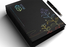 铁皮石斛品牌设计 铁皮石斛VI设计 铁皮石斛包装设计公司