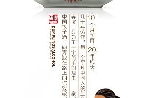 徐桂亮品牌设计——中国饺子酒