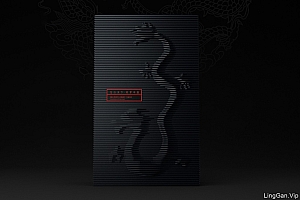 龙文化收藏品包装设计—龙行天下 筑梦中国!