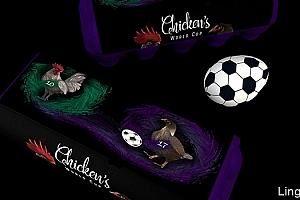 罗马尼亚世界杯足球赛鸡蛋包装设计