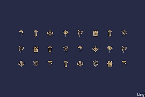 固体饮料包装设计 中草药包装设计 保健品礼盒包装设计