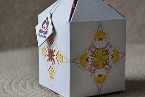 美国Teavana 茶叶包装设计