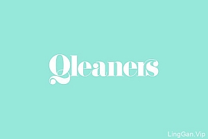 QLEANERS干洗店品牌VI设计