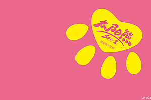 太阳熊干果——徐桂亮品牌设计