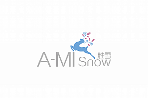 胜雪化妆品—徐桂亮品牌设计