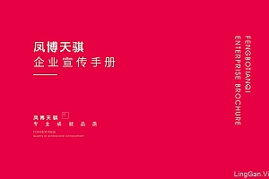 凤博天骐企业宣传手册设计