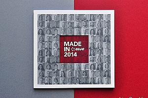 国外EAVE画册设计MadeInEave 2014设计欣赏