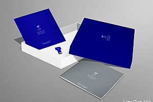 法国Sevigne地产企业VI、LOGO、画册设计欣赏