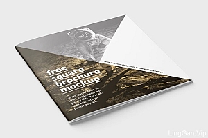 波兰设计师MockupsDesign画册模版VI设计作品