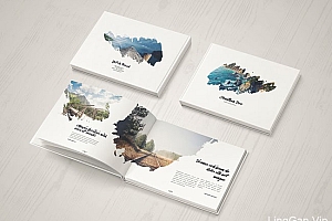 俄罗斯Shap Shapy笔刷风格的画册设计分享