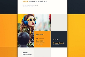 国外ASER企业年报画册设计