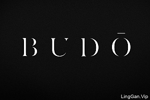 黑色风格的BUDO日本武术搏击文化书籍设计24P