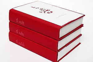 Stieg Larsson系列创意书籍设计作品