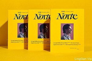Norte室内装饰商店宣传手册设计