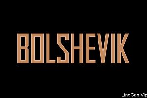 BOLSHEVIK地产项目画册设计作品