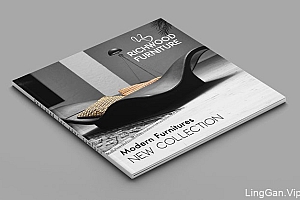 Richwood家具品牌画册设计欣赏