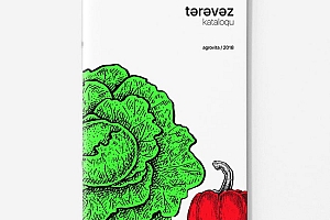 清新的蔬果品牌目录画册案例