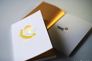 漂亮的Proud Mary小型画册设计