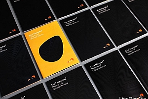 Kiwi Manuka品牌手册设计