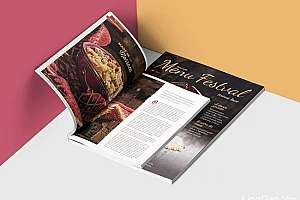 Menu Festval美食杂志设计