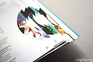 圣艾蒂安歌剧院全新视觉形象设计欣赏(四)