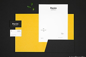 墨西哥-Buyan公寓品牌形象VI设计欣赏