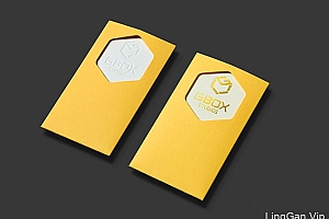 越南Gbox工作室精彩VI设计(二)