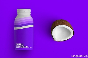 国外GURU饮料品牌形象设计欣赏