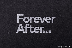 新西兰设计师Forever After设计工作室VI设计作品